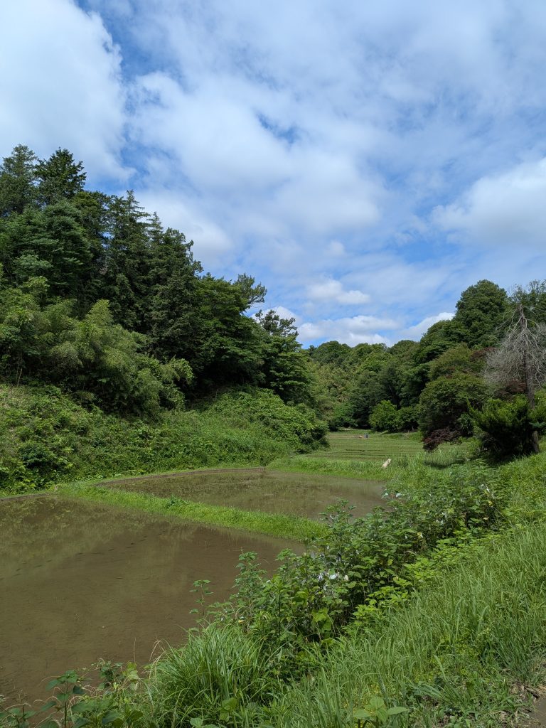 青空と深い緑に囲まれた鴨志田町の谷戸田