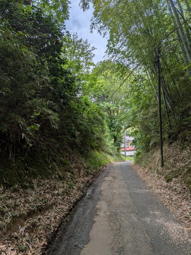 竹林と雑木林の間を住宅地へ下る鴨志田町の細い道